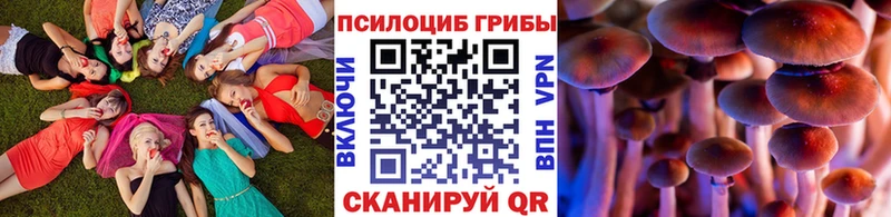Галлюциногенные грибы Magic Shrooms  Ильский 