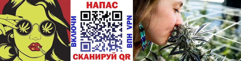 где можно купить   Ильский  MEGA онион  Каннабис план 